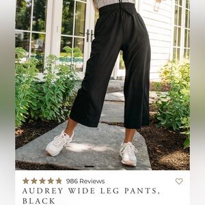 Albion Audrey Wide Leg Pants in Black